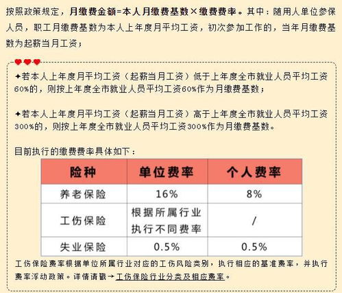 代表建议给应届生3到5年社保补贴