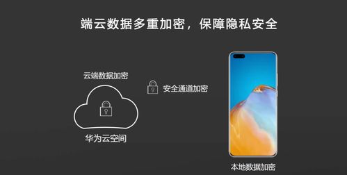 华为手机怎么设备网络
