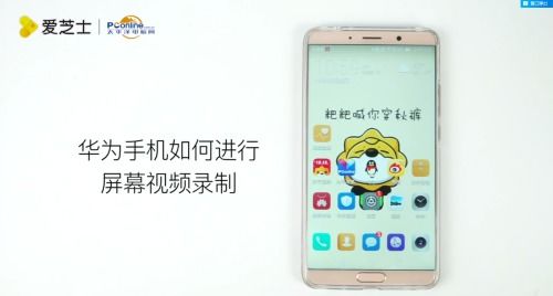 华为手机视频怎么安装