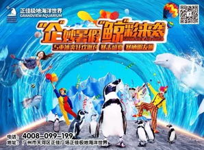游戏鲸鱼游戏攻略 VS 出家游戏攻略