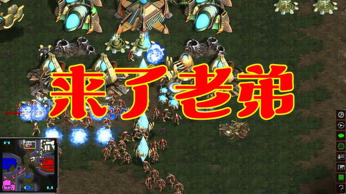 游戏主播解谜游戏攻略 VS 大师游戏攻略rpg