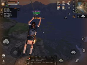 高屋建瓴游戏攻略 VS 刺客组队游戏攻略